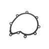 Scania OEM Water Pump Gasket 1541633