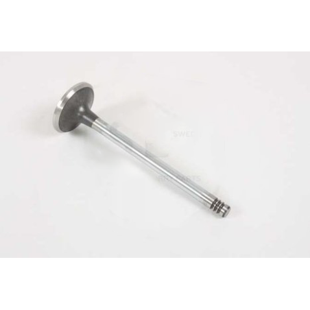 Volvo - Exhaust Valve 20565912