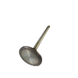 Volvo - Inlet Valve 20714469