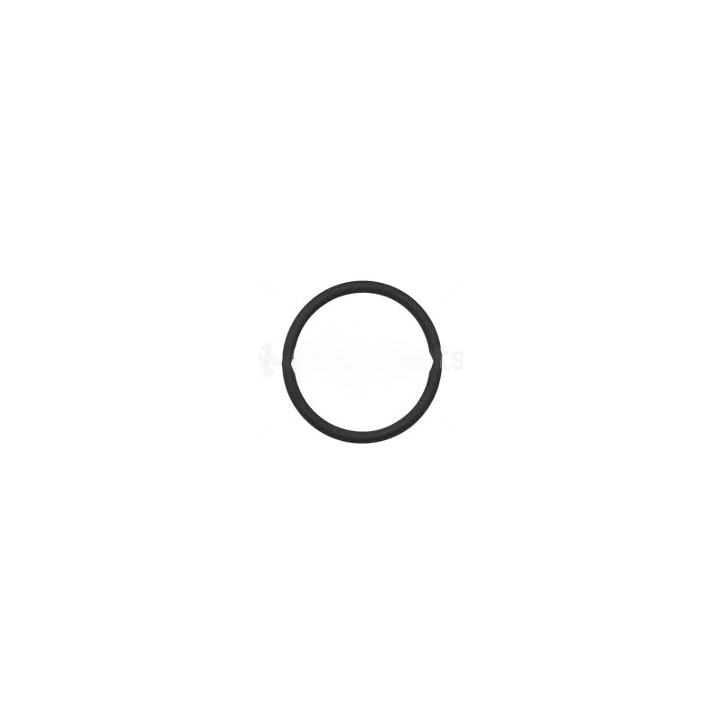 Linde O-Ring VWWHT000884
