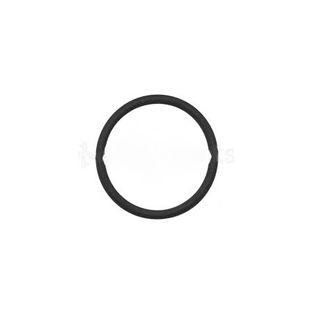 Linde O-Ring VWWHT000884