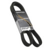 Scania Poly V Belt 1800533