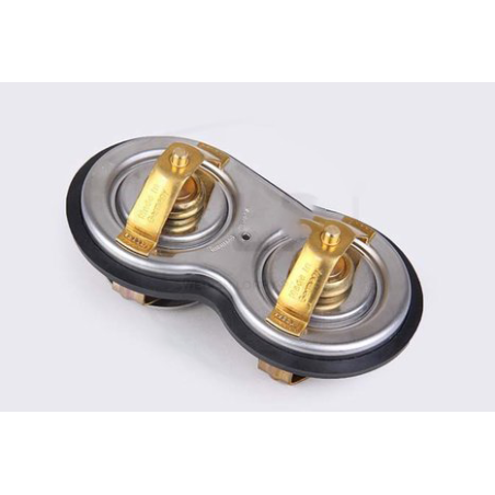 Scania Thermostat Set 1431979