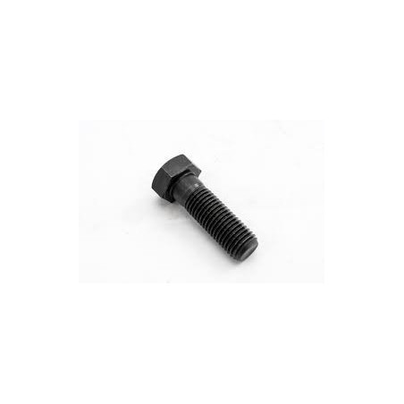 Terberg Bolt 0636101120