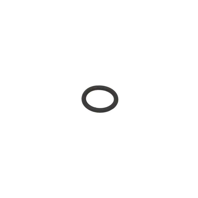ZF O-Ring 0634313215