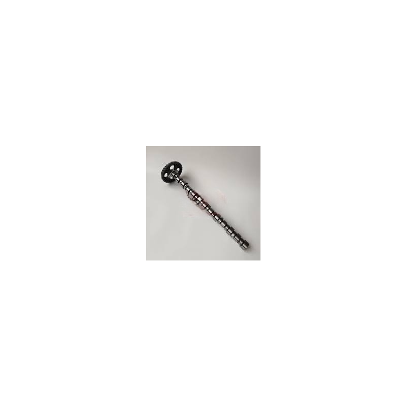 Cummins Camshaft 3084568